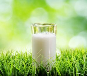 Raw Milk: It Does the Body Good
