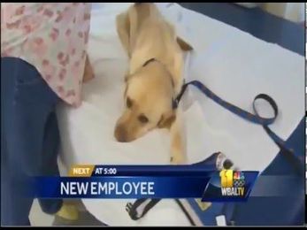 MedStar Good Samaritan has a new tool to help rehab patients