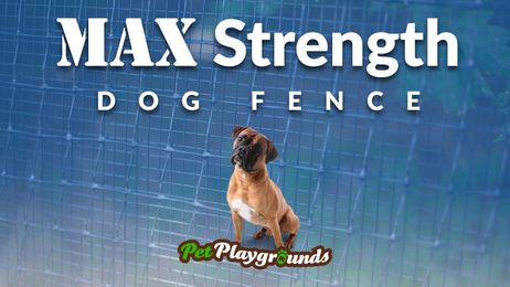 Have an escape artist for a dog? Tough dogs need a MAX dog fence.
