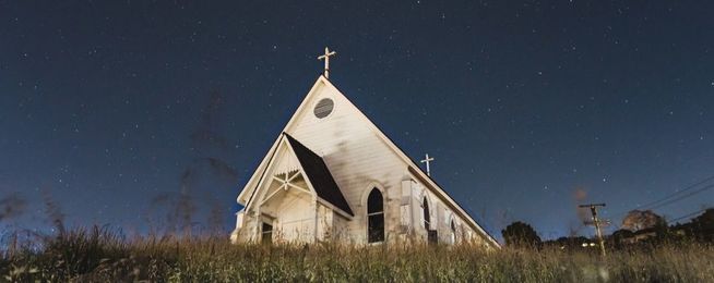 Replanting on a budget