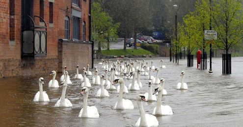 15 gorgeous photos that you won't be able to take your eyes off of