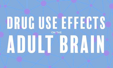 Help Understanding Drug Use Effects on the Adult Brain