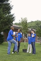 Will Tree Roots Damage Gas Lines?