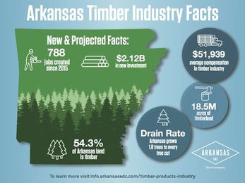 Arkansas’ Thriving Timber Basket