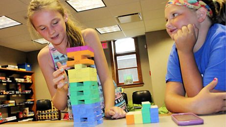 Eco-towers: Program teaches the ecosystem through a tower of blocks