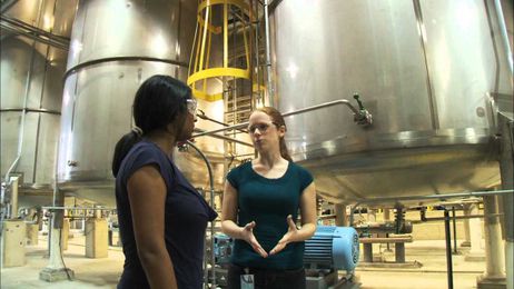 Profiles of Scientists and Engineers