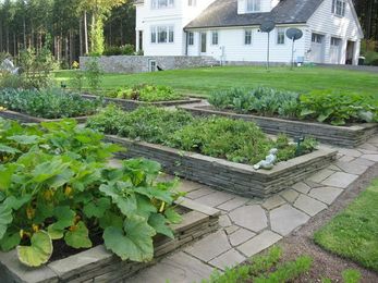 These 4 Planting Strategies Can Save You Money