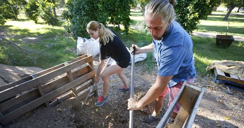 Phoenix program aims to change businesses' recycling habits