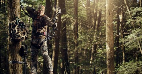 Have the Best Archery Season: 32 Tips to Shoot Better, Hunt Smarter