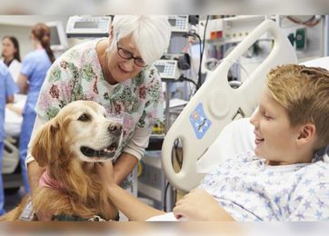 Animals in Health Care Facilities? Consider These 6 Points