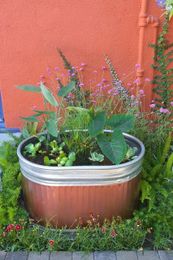 A Colorful DIY Water Garden for Your Patio