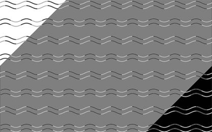 Can You Figure Out the Shape of the Lines in This Optical Illusion?