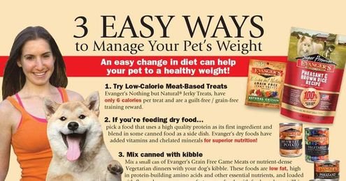 3 Easy Ways to Help Your Pet to a Healthy New Year