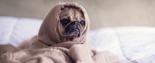 Here's What Science Says You Should Do if You Can't Fall Asleep