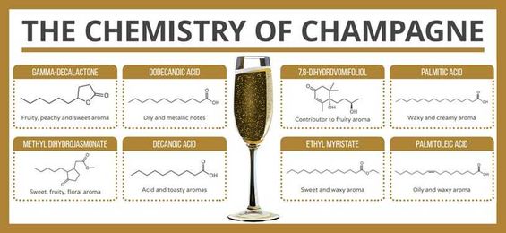 The Chemistry Inside Those 20 Million Tiny Champagne Bubbles [Infographic]