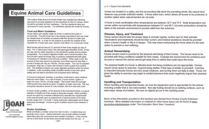 Horse Welfare Calls and Care Guidelines