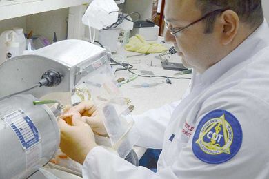 Do your dentures right