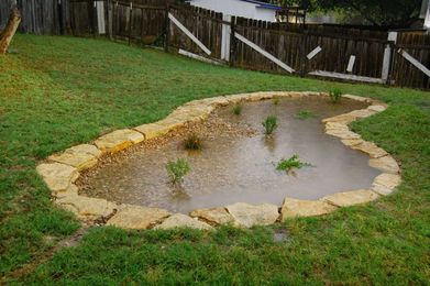 Why and how you can create a rain garden, or DIY backyard aquifer