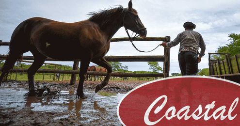 How to Keep Stalls and Barns Dry in the Northwest