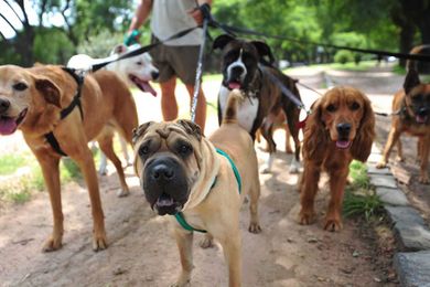 18 Ways I've Earned Rent Money When I Was Broke