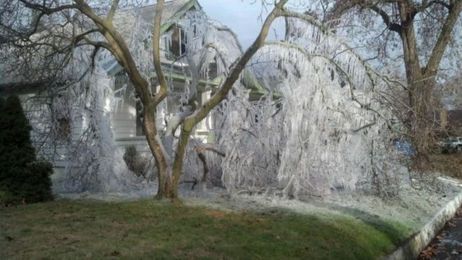 Why You Should Check Your Sprinklers During Freezing Weather