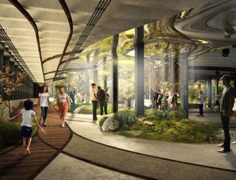 Future office trends: wellness, urban farms and no cars