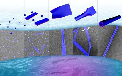 Nanotubes Could Help Water Purification & Tissue Engineering