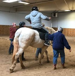 CSU equine-assisted occupational therapy making strides for children with autism