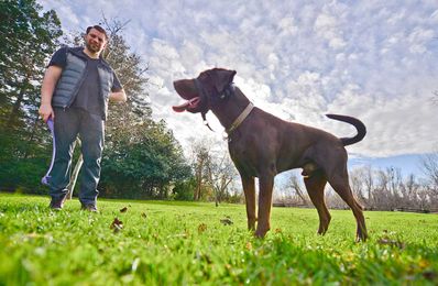 Who's a good boy? Moose, a chocolate Lab with one lung