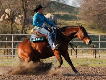 Bridleless Riding Solves Problems