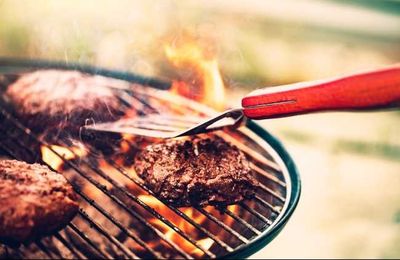 Factors to Consider When Picking a Grill