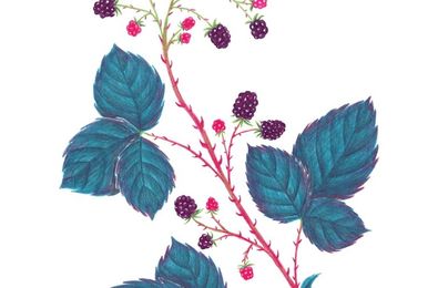 Making Local Woods Work