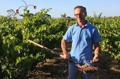 Soil and terroir: How one vineyard is tracking the link