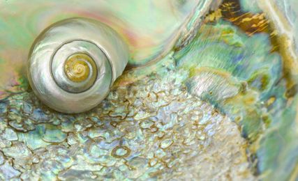 How oil and gas companies can prepare for a low-carbon world