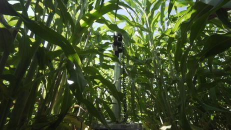 Smart Farm: Creating the Farm and Farmworkers of the Future