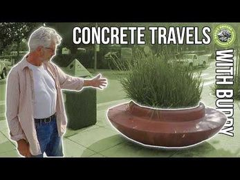 Concrete Travels With Buddy