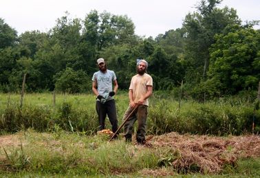 Accessing Land: A Beginning Farmers Guide