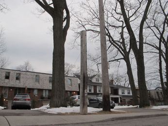 Old utility poles never seem to die, or even fade away