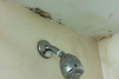 Protect Your Home (and Health) from Mold