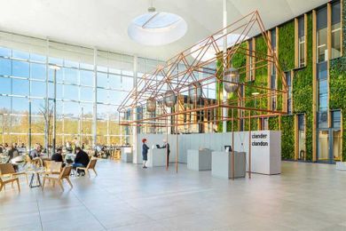 Biophilia Effect: What It Means for Commercial Architecture and Design