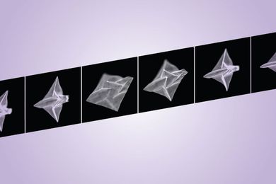 Harnessing the power of shape-shifting polymers