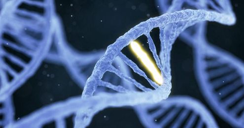 Do you have "doomsday genes"?