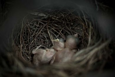 Six Mexican photographers you should get to know at the Mint Museum