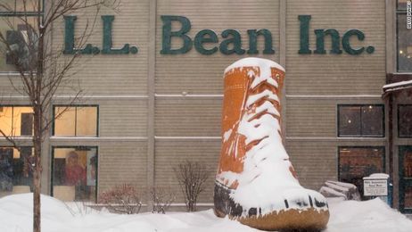 L.L. Bean raises minimum age for gun purchases to 21