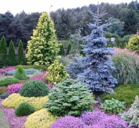 100 Wonderful Evergreen Grasses Landscaping Ideas