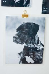 8 Easy DIY Acrylic Picture Frames For A Modern Touch