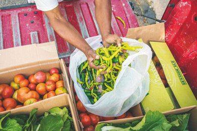 Grow bountiful garden, share with hungry