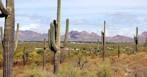 This is what a West without water will look like