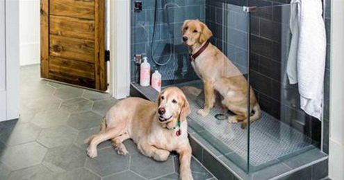 Dog showers are the latest home trend — and they're surprisingly practical