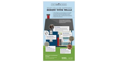 The Mystery Behind Your Walls: Could There Be Termites?